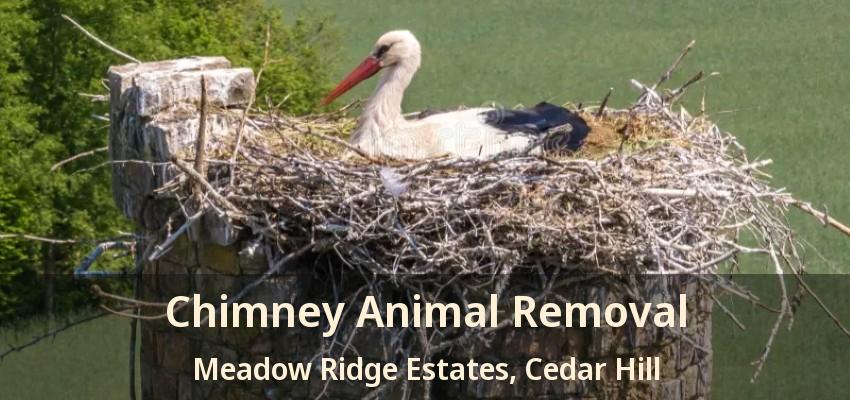 Chimney Animal Removal Meadow Ridge Estates, Cedar Hill - TX