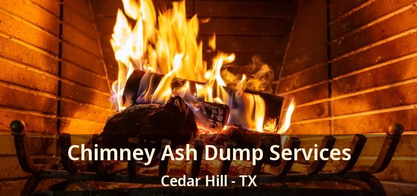 Chimney Ash Dump Services Cedar Hill - TX