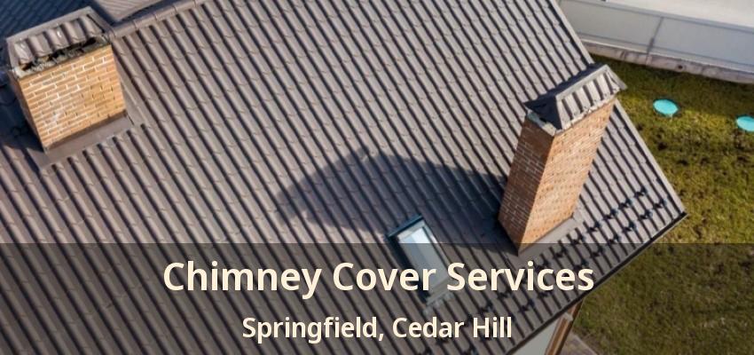 Chimney Cover Services Springfield, Cedar Hill - TX