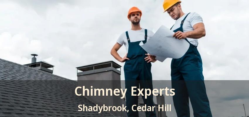 Chimney Experts Shadybrook, Cedar Hill - TX