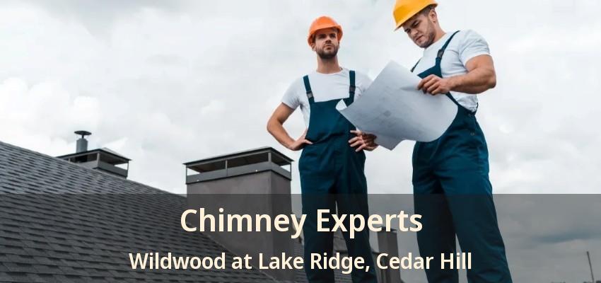 Chimney Experts Wildwood at Lake Ridge, Cedar Hill - TX