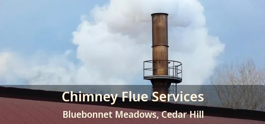 Chimney Flue Services Bluebonnet Meadows, Cedar Hill - TX