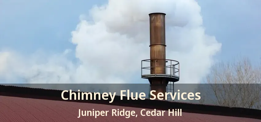 Chimney Flue Services Juniper Ridge, Cedar Hill - TX