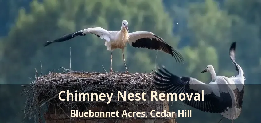 Chimney Nest Removal Bluebonnet Acres, Cedar Hill - TX