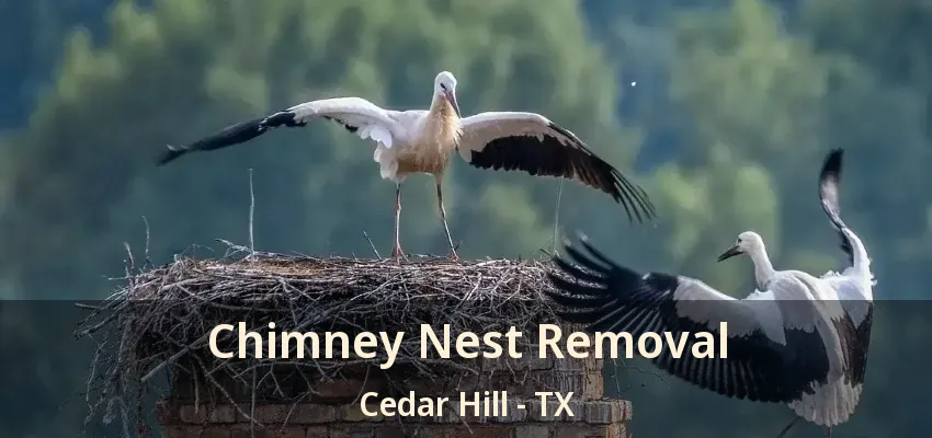 Chimney Nest Removal Cedar Hill - TX