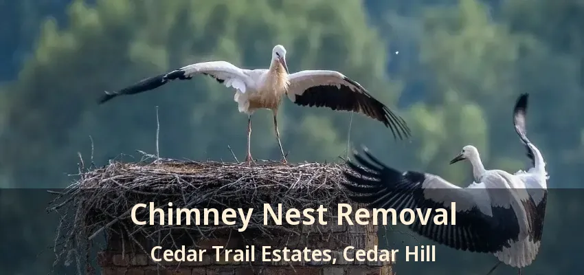 Chimney Nest Removal Cedar Trail Estates, Cedar Hill - TX