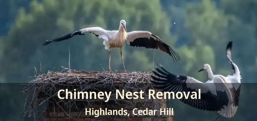 Chimney Nest Removal Highlands, Cedar Hill - TX