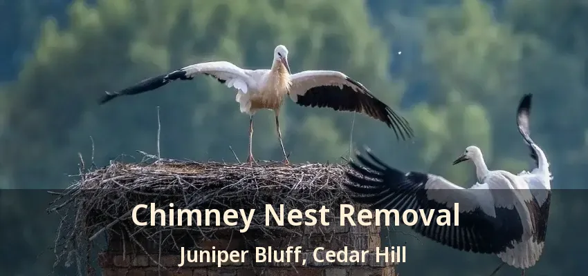 Chimney Nest Removal Juniper Bluff, Cedar Hill - TX