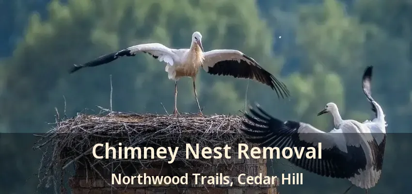Chimney Nest Removal Northwood Trails, Cedar Hill - TX