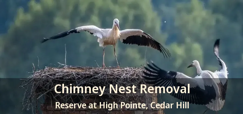 Chimney Nest Removal Reserve at High Pointe, Cedar Hill - TX