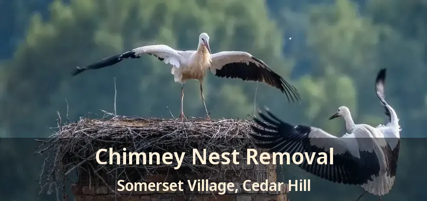 Chimney Nest Removal Somerset Village, Cedar Hill - TX