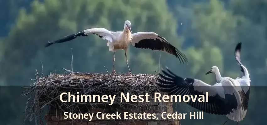 Chimney Nest Removal Stoney Creek Estates, Cedar Hill - TX