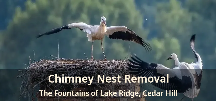 Chimney Nest Removal The Fountains of Lake Ridge, Cedar Hill - TX