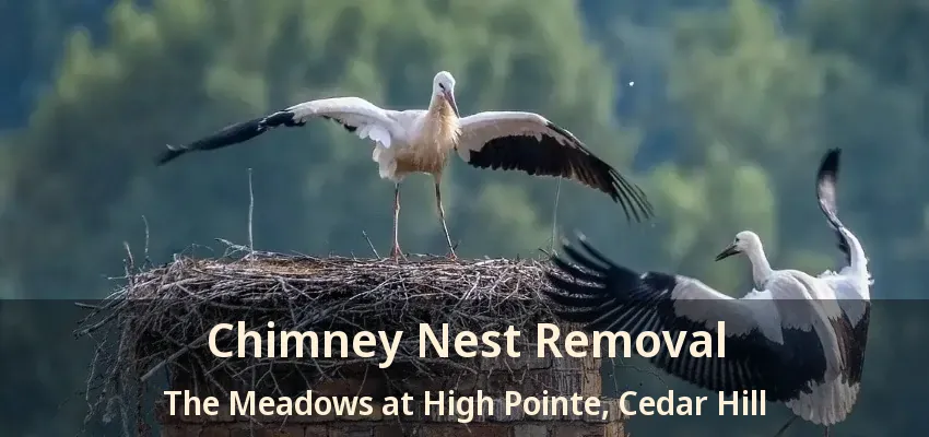 Chimney Nest Removal The Meadows at High Pointe, Cedar Hill - TX
