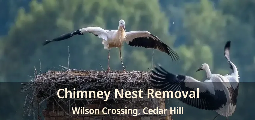 Chimney Nest Removal Wilson Crossing, Cedar Hill - TX