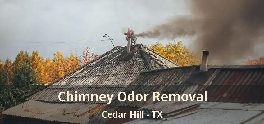 Chimney Odor Removal Cedar Hill - TX