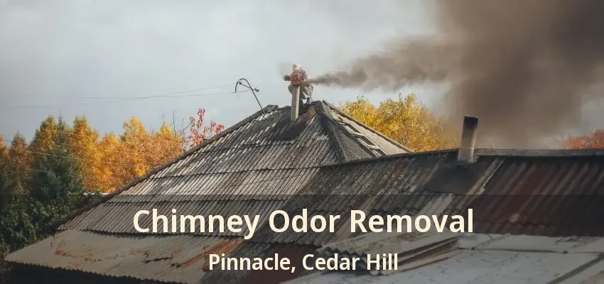 Chimney Odor Removal Pinnacle, Cedar Hill - TX
