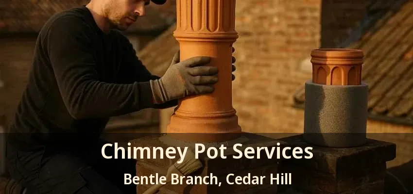 Chimney Pot Services Bentle Branch, Cedar Hill - TX