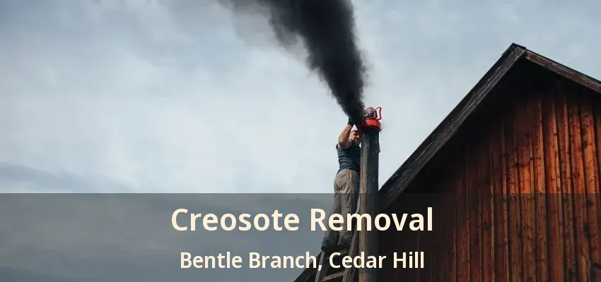 Creosote Removal Bentle Branch, Cedar Hill - TX