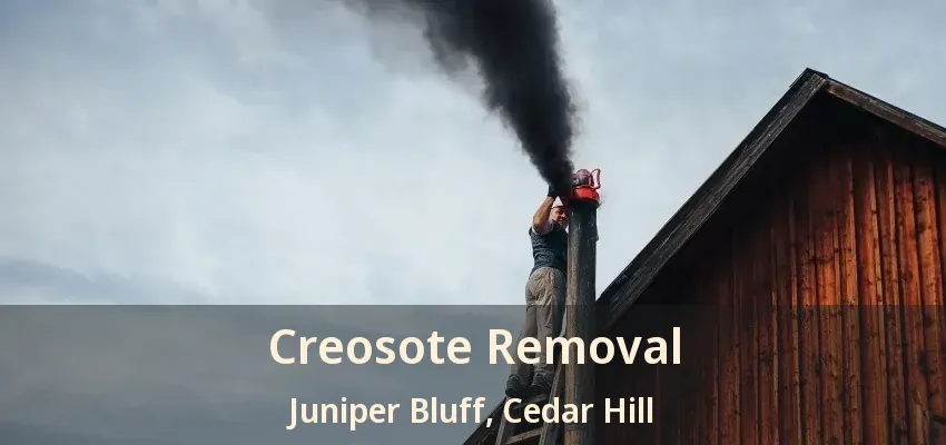 Creosote Removal Juniper Bluff, Cedar Hill - TX
