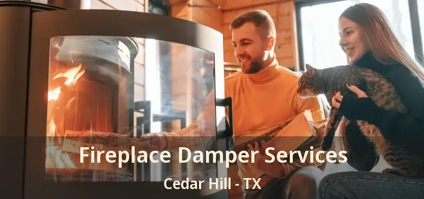 Fireplace Damper Services Cedar Hill - TX