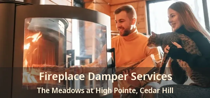 Fireplace Damper Services The Meadows at High Pointe, Cedar Hill - TX