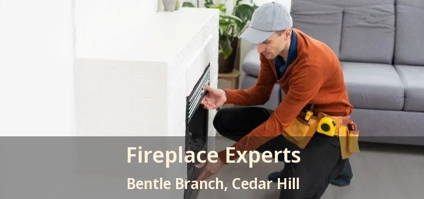 Fireplace Experts Bentle Branch, Cedar Hill - TX