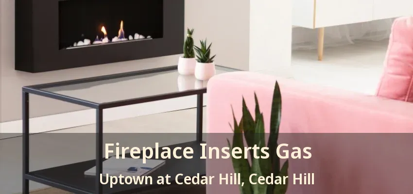 Fireplace Inserts Gas Uptown at Cedar Hill, Cedar Hill - TX
