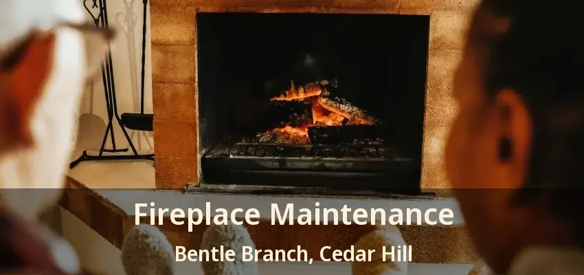 Fireplace Maintenance Bentle Branch, Cedar Hill - TX