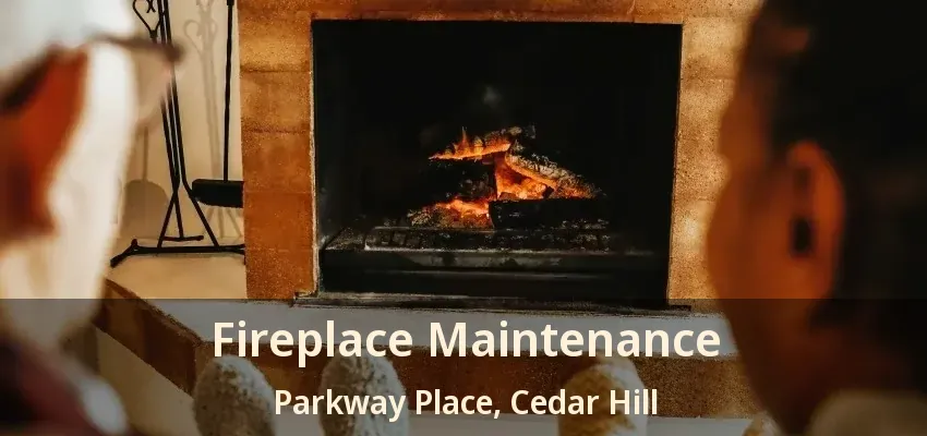 Fireplace Maintenance Parkway Place, Cedar Hill - TX