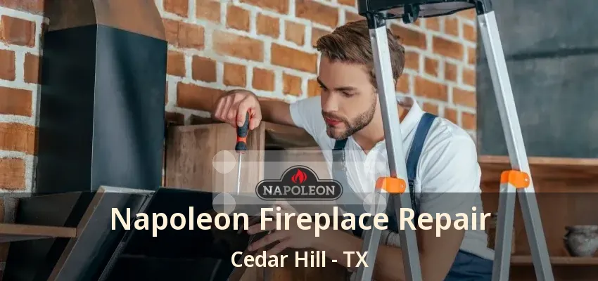 Napoleon Fireplace Repair Cedar Hill - TX