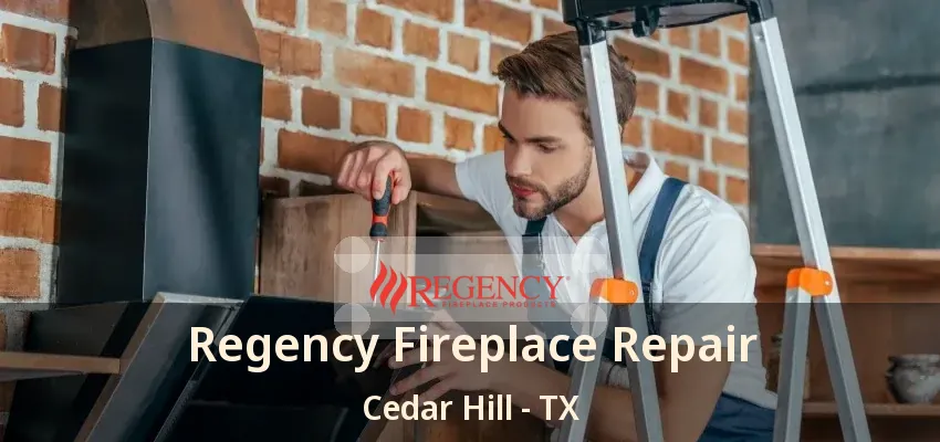 Regency Fireplace Repair Cedar Hill - TX