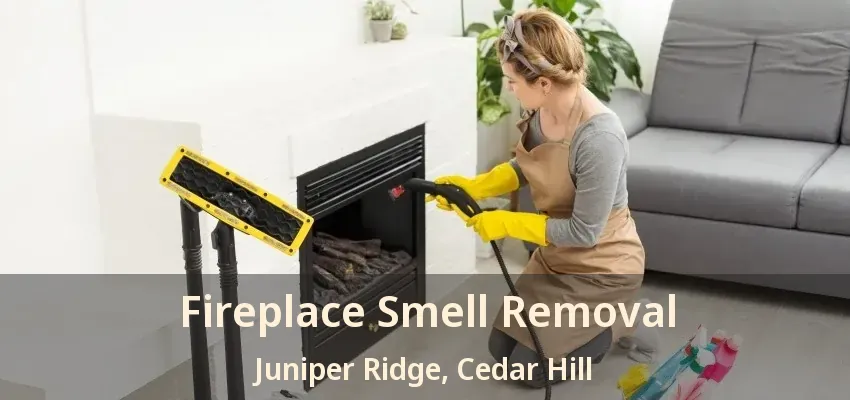 Fireplace Smell Removal Juniper Ridge, Cedar Hill - TX