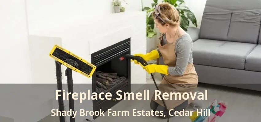 Fireplace Smell Removal Shady Brook Farm Estates, Cedar Hill - TX
