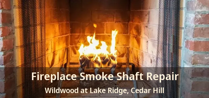 Fireplace Smoke Shaft Repair Wildwood at Lake Ridge, Cedar Hill - TX