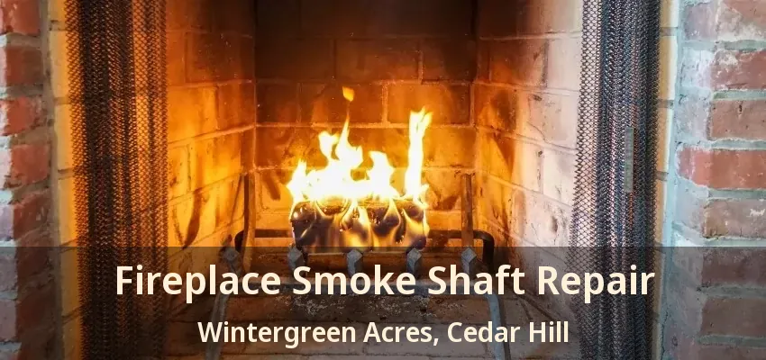 Fireplace Smoke Shaft Repair Wintergreen Acres, Cedar Hill - TX