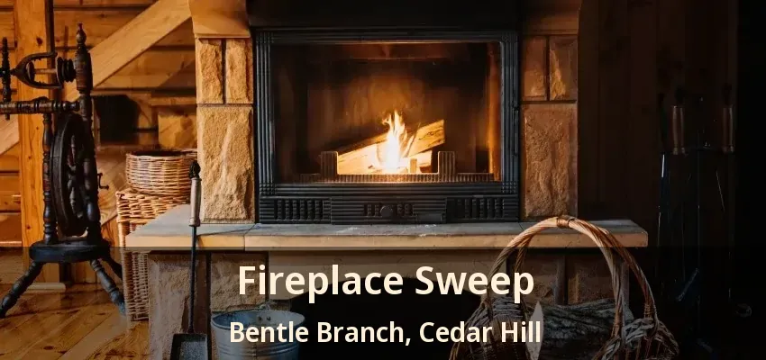 Fireplace Sweep Bentle Branch, Cedar Hill - TX