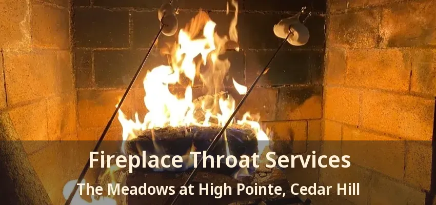 Fireplace Throat Services The Meadows at High Pointe, Cedar Hill - TX