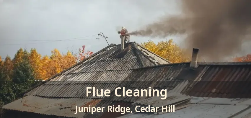 Flue Cleaning Juniper Ridge, Cedar Hill - TX