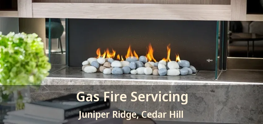 Gas Fire Servicing Juniper Ridge, Cedar Hill - TX