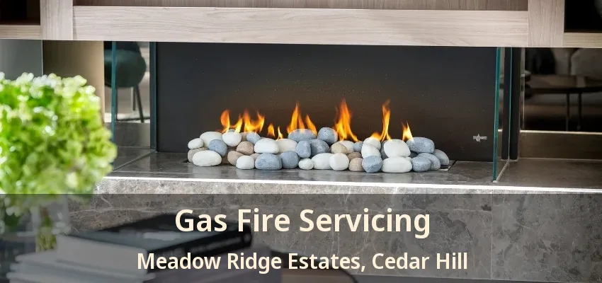 Gas Fire Servicing Meadow Ridge Estates, Cedar Hill - TX