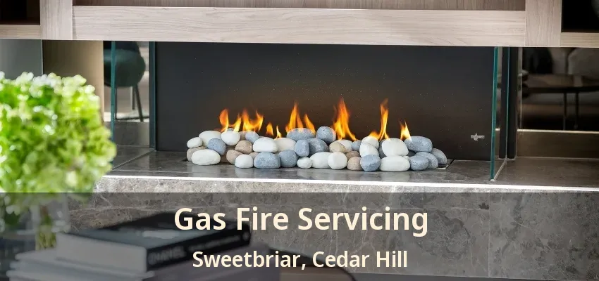 Gas Fire Servicing Sweetbriar, Cedar Hill - TX