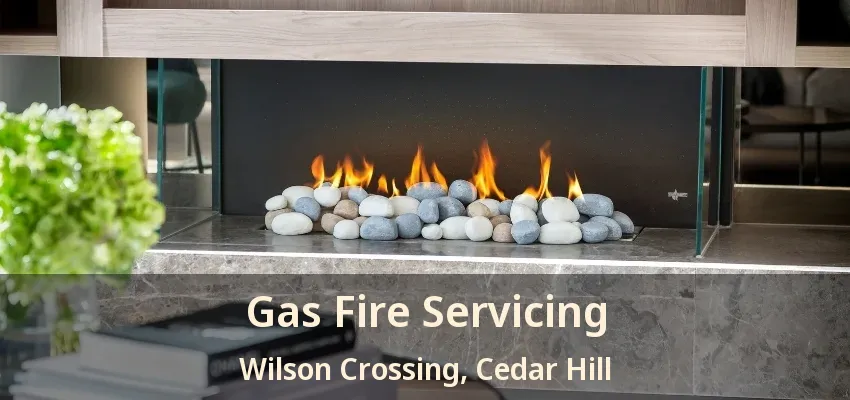 Gas Fire Servicing Wilson Crossing, Cedar Hill - TX