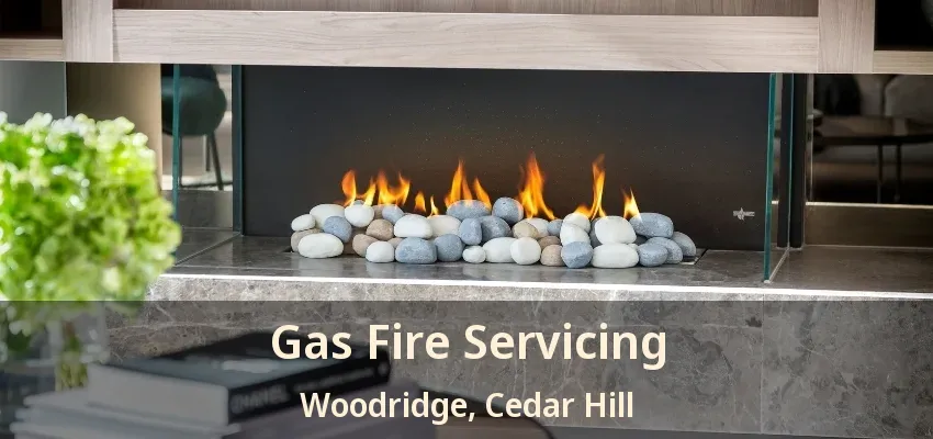 Gas Fire Servicing Woodridge, Cedar Hill - TX