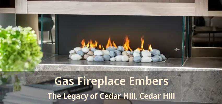 Gas Fireplace Embers The Legacy of Cedar Hill, Cedar Hill - TX