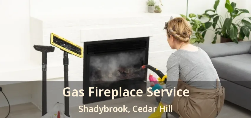 Gas Fireplace Service Shadybrook, Cedar Hill - TX
