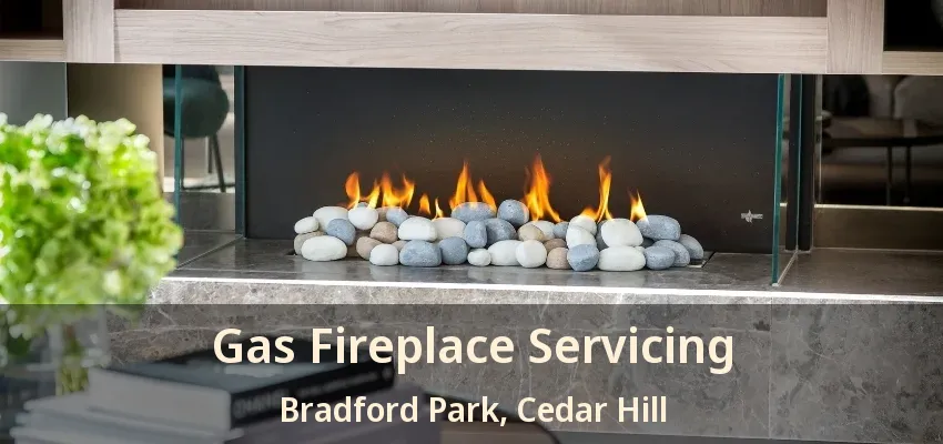 Gas Fireplace Servicing Bradford Park, Cedar Hill - TX