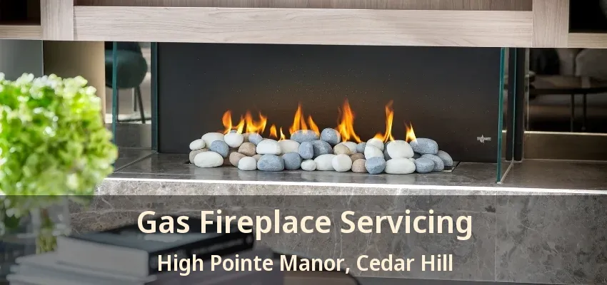 Gas Fireplace Servicing High Pointe Manor, Cedar Hill - TX