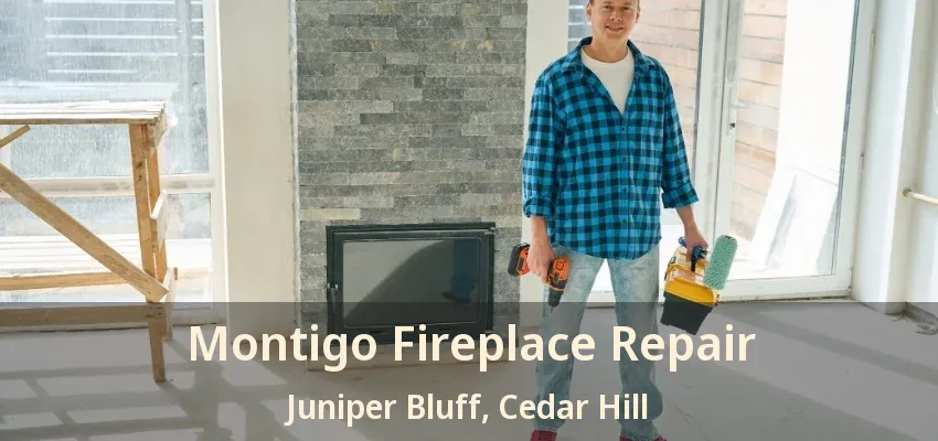 Montigo Fireplace Repair Juniper Bluff, Cedar Hill - TX