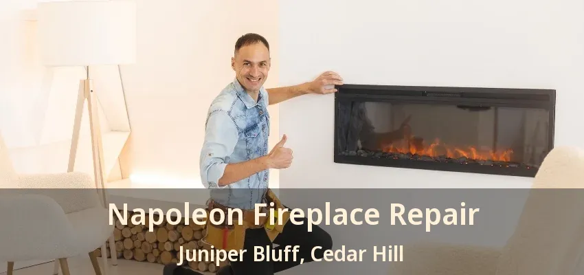 Napoleon Fireplace Repair Juniper Bluff, Cedar Hill - TX